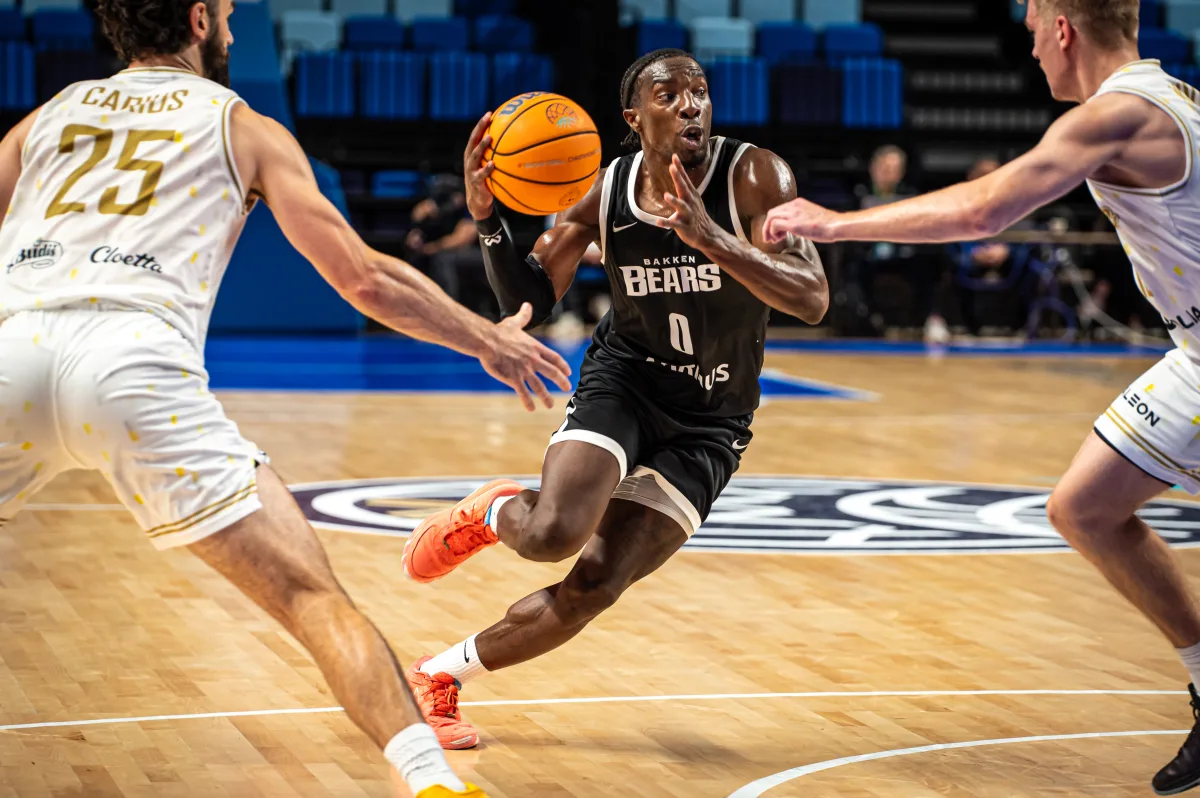 Описание изображения