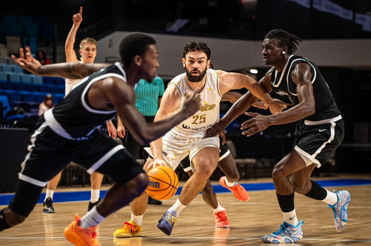 Описание изображения