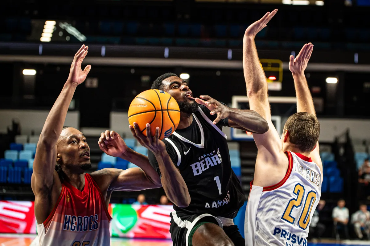 Описание изображения