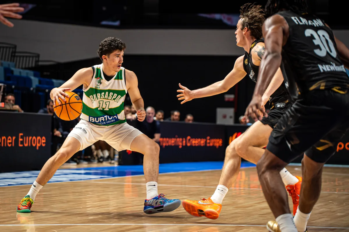 Описание изображения